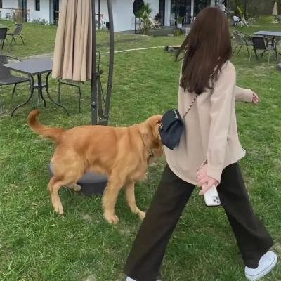 闻所未闻